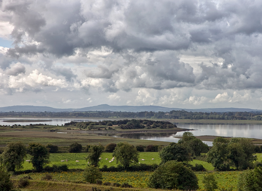 River Shannon, August Afternoon