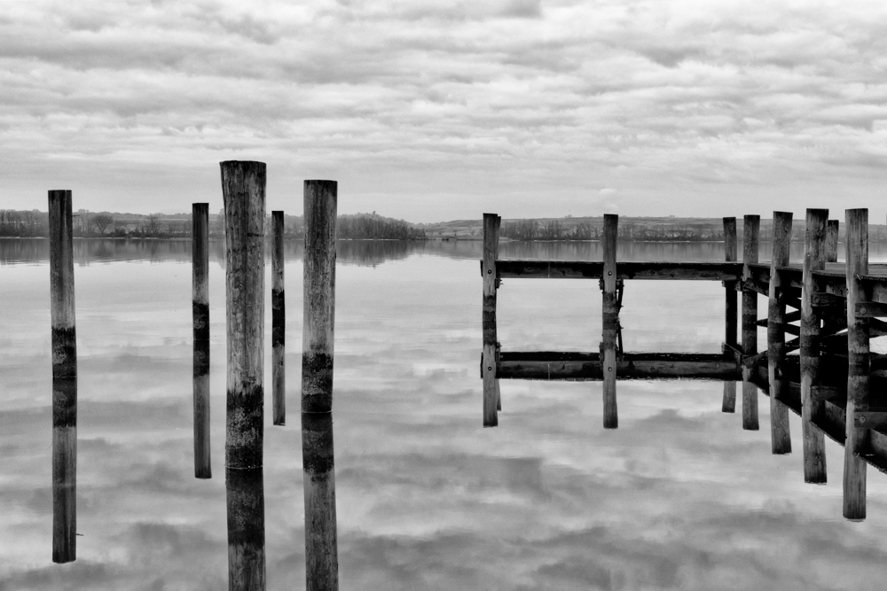 Cox Point Park, January Morning