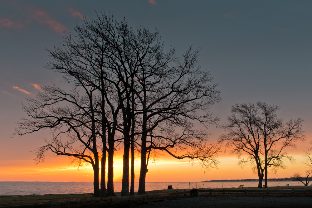 Fort Smallwood Park, January Sunrise