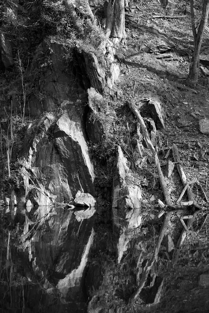 Rocks, Trees and Reflections