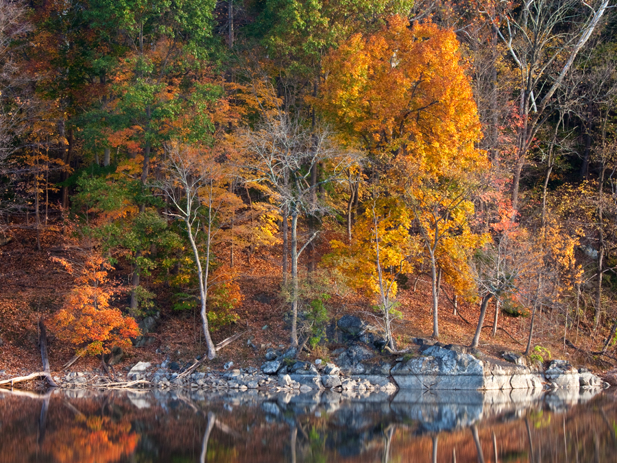 Widewater, November Morning