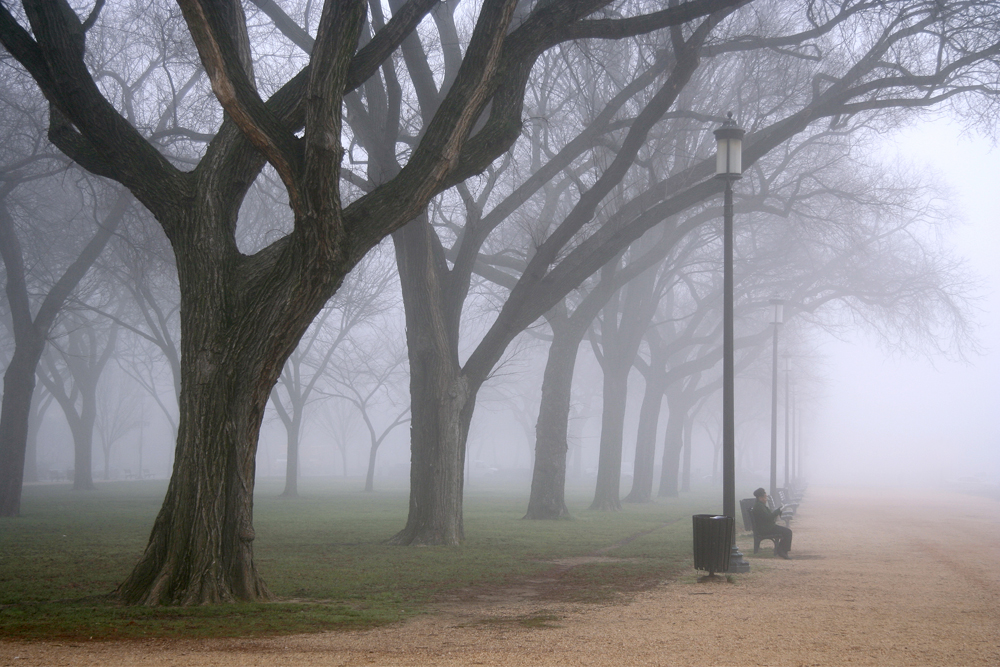 Foggy Morning on the Mall