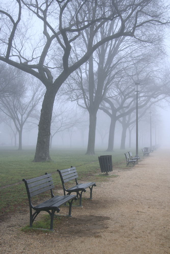 Foggy Morning on the Mall