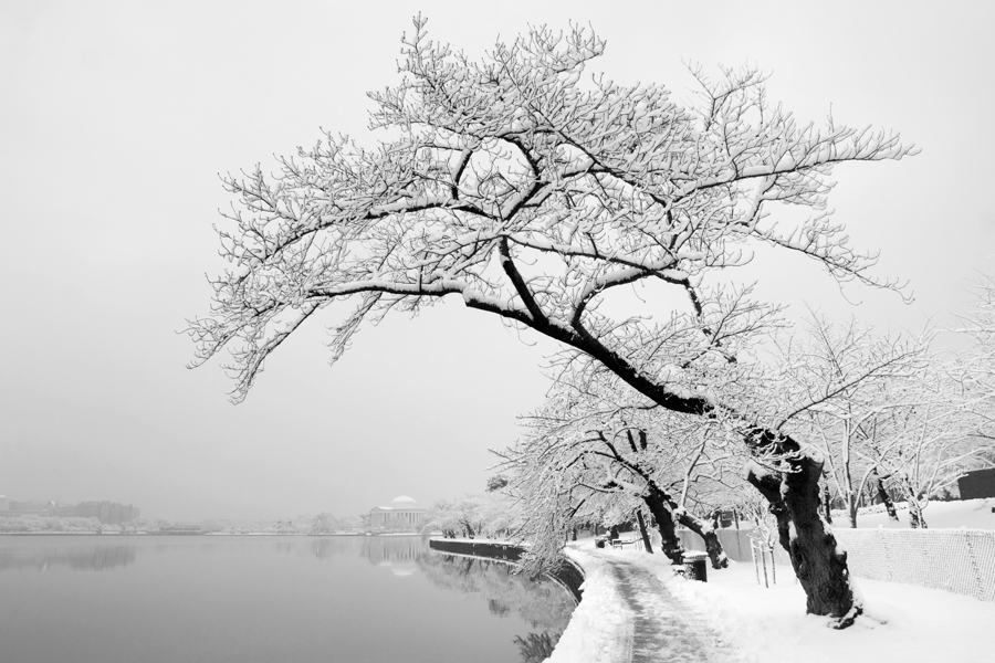 Jefferson Memorial, February Morning