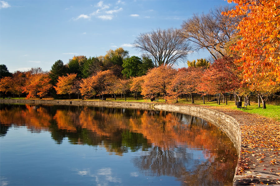 Tidal Basin, November Morning