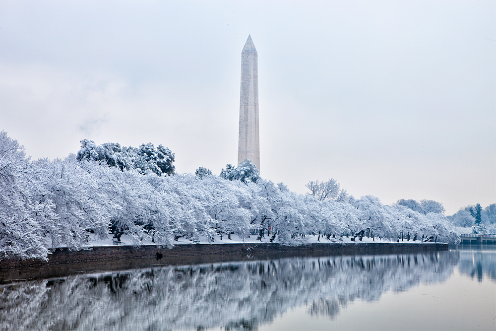 February Morning at the Tidal Basin 