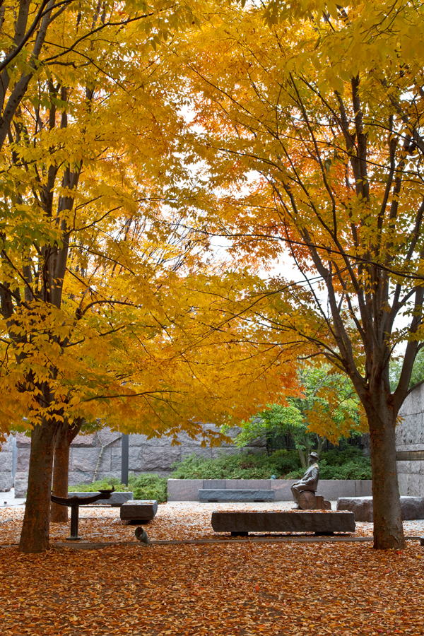 Roosevelt Memorial, November Morning