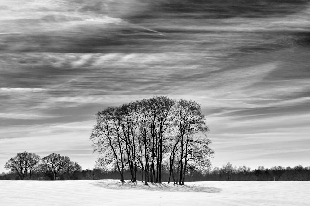 Warrenton, VA, February Morning