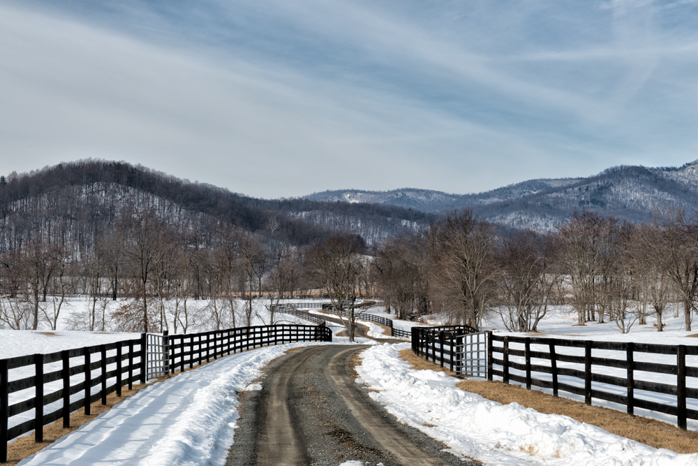 Fort Valley, February Morning