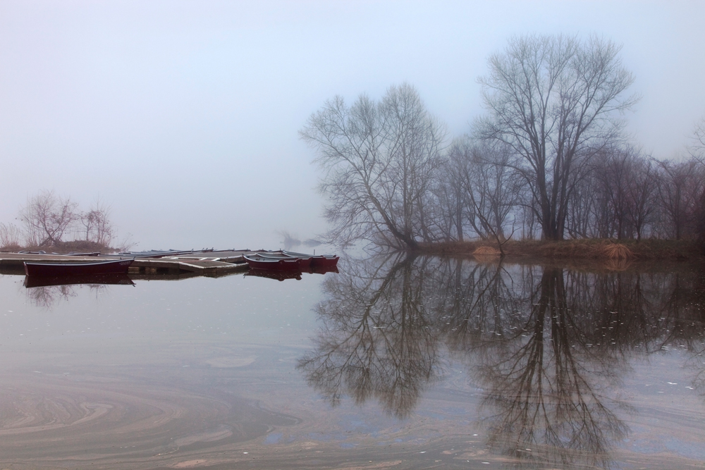 Fletcher's Cove, March Morning