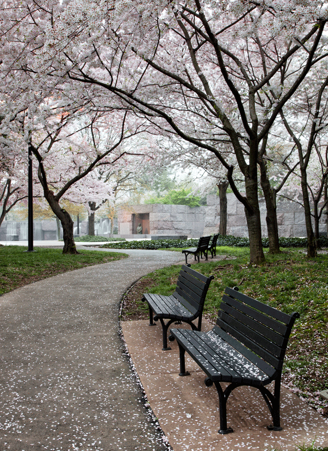 Roosevelt Memorial, April Morning