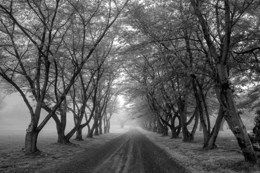 Road Less Traveled, Potomac MD