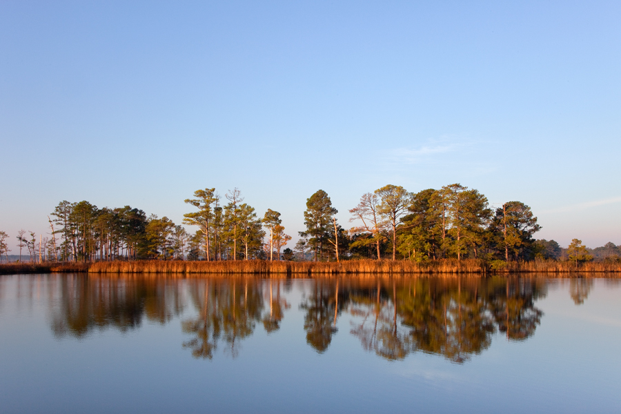 Blackwater Wildlife Refuge, October Morning