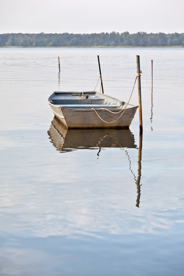 Eastern Neck Narrows, September Morning