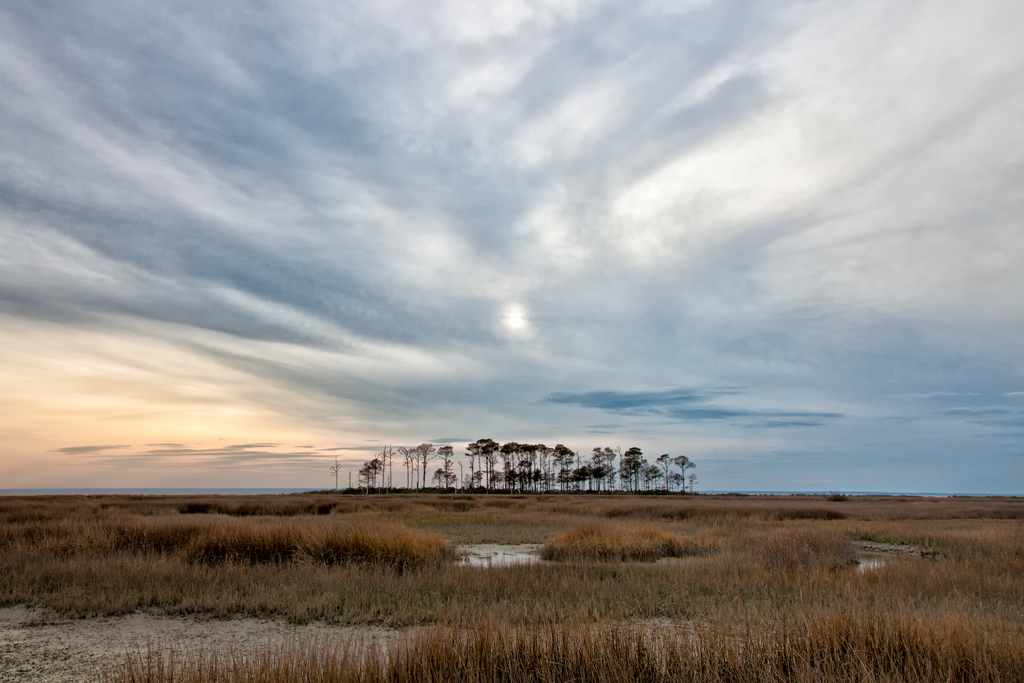 Dorchester County, April Evening