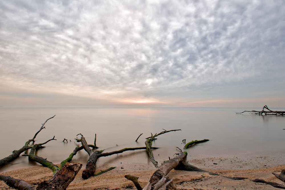 Bay Front Park, December Sunrise