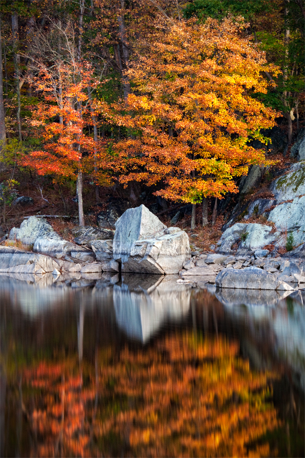 Widewater, November Morning