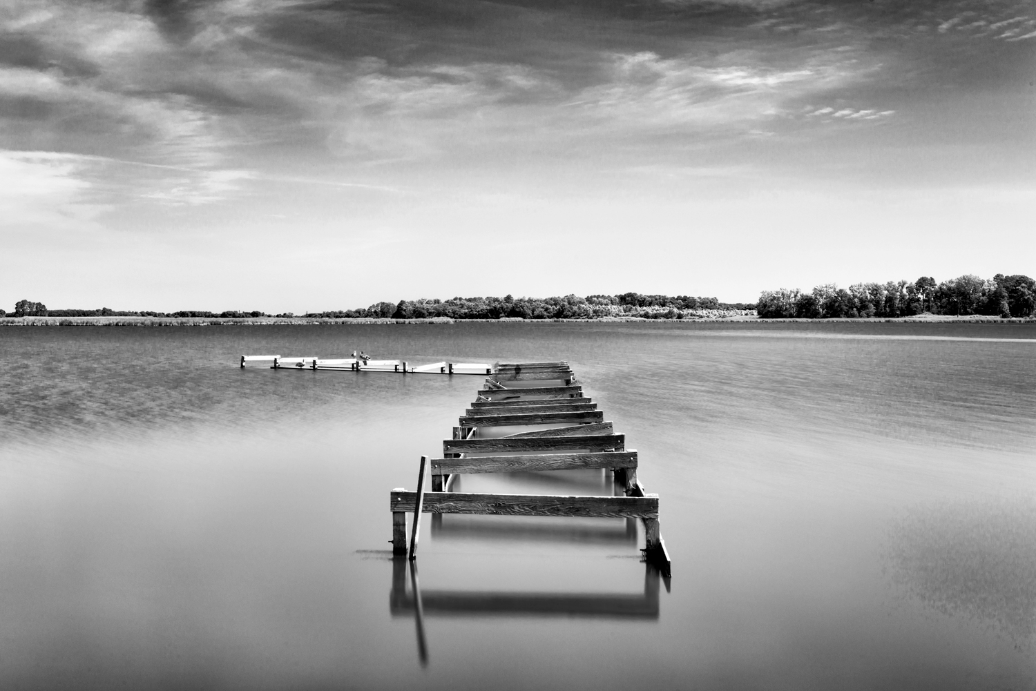 Blackwater Wildlife Refuge, July Morning