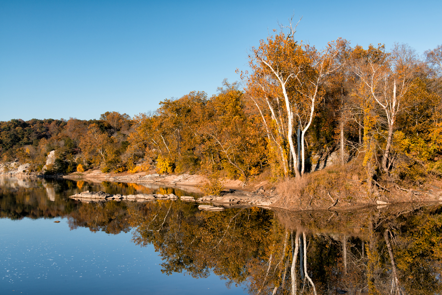 Potomac River, October Morning