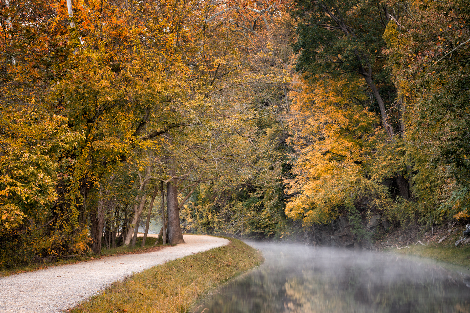 C&O Canal, October Morning