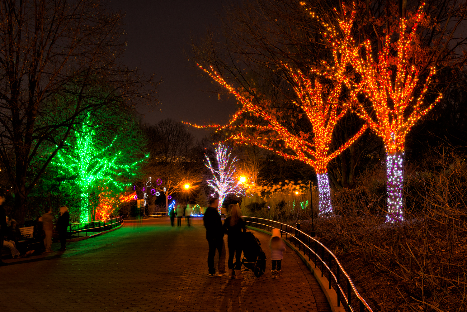 Zoo Lights at the National Zoo, December Evening