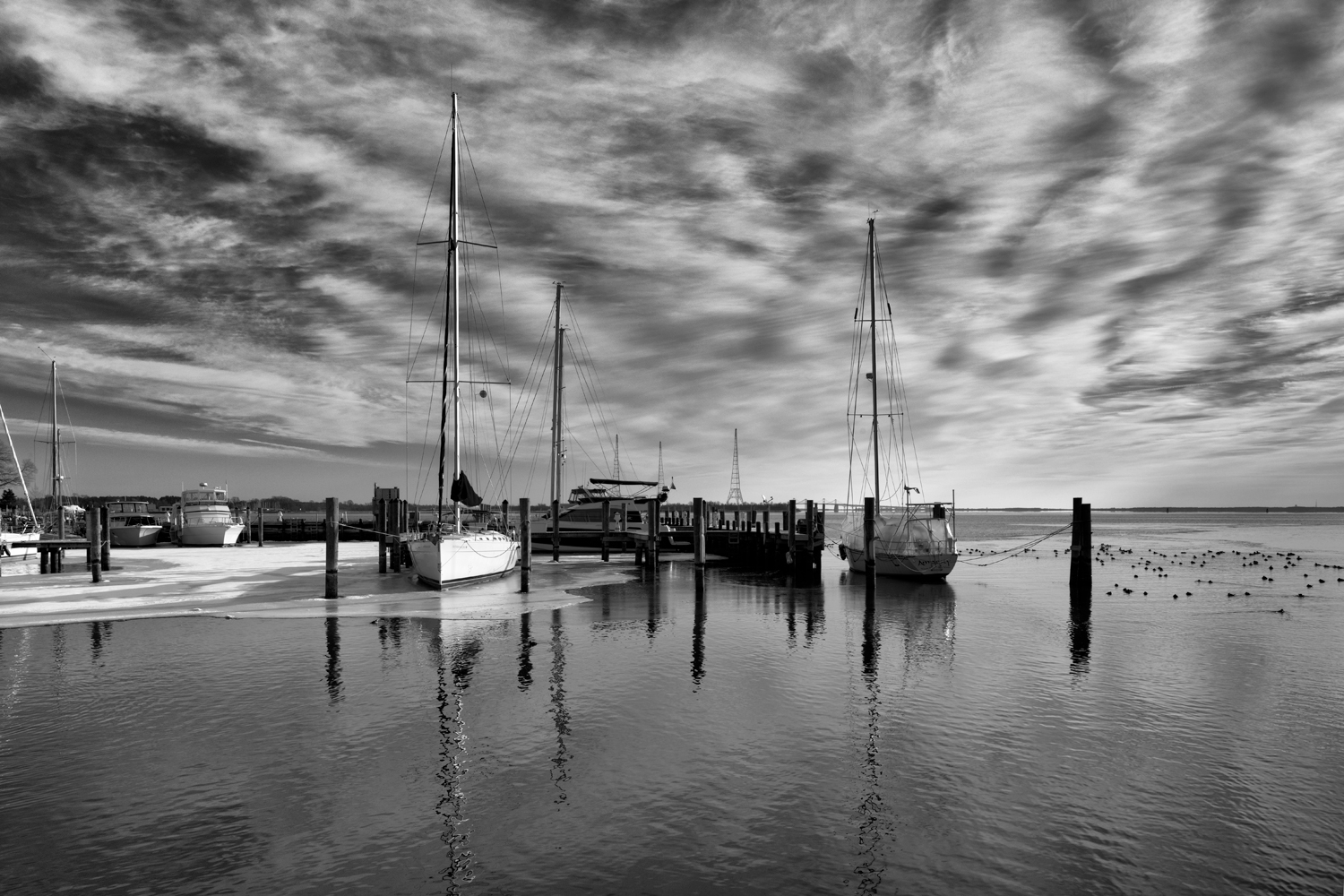 Annapolis, February Morning