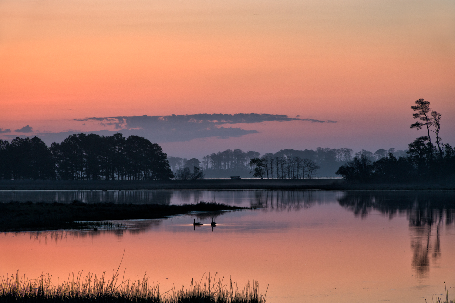 Assateague Island, May Morning