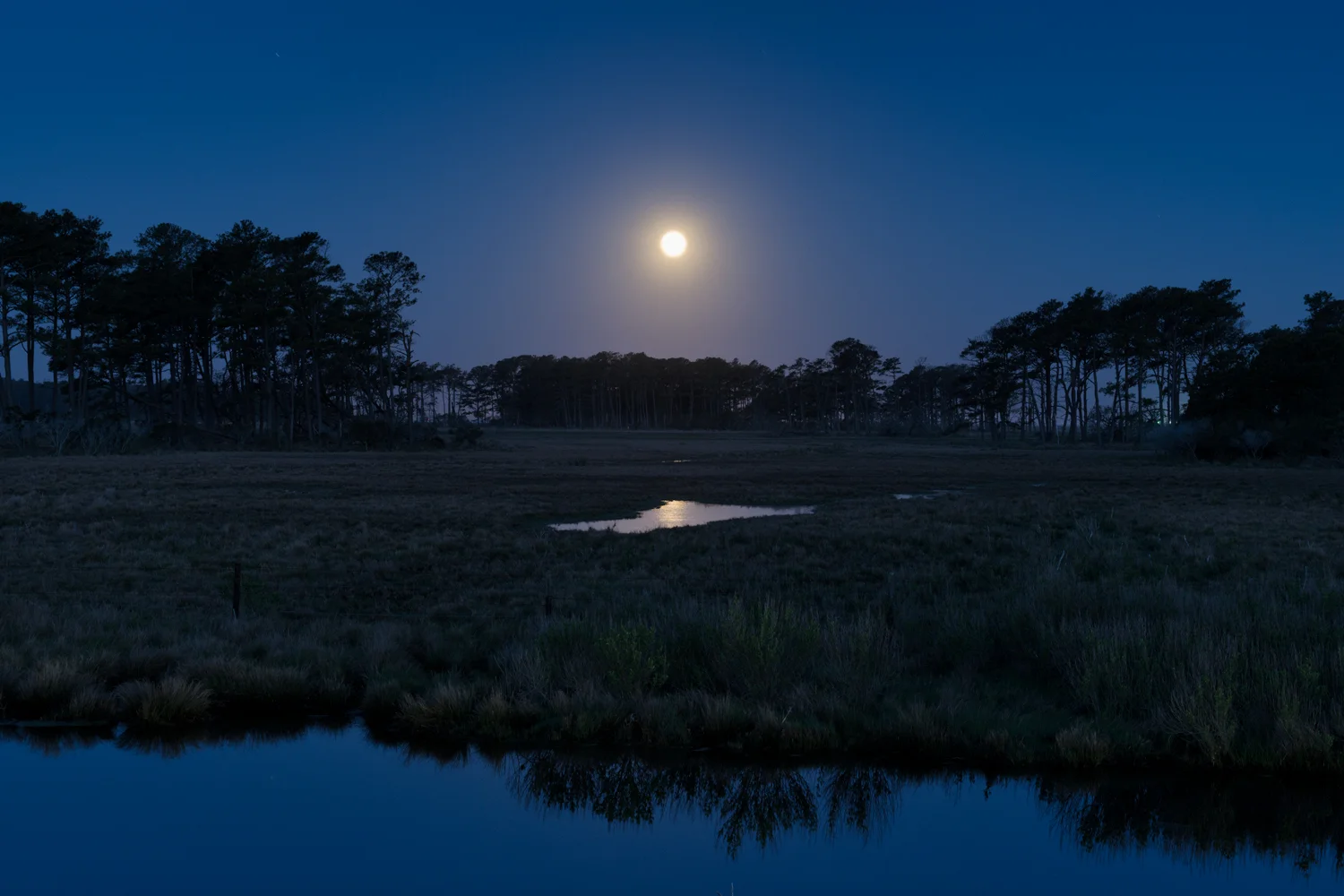 Assateague Island, May Moonset