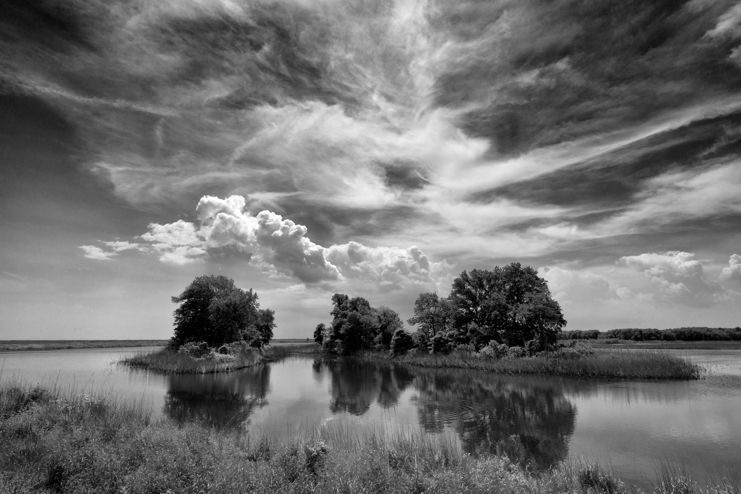 Bombay Hook, May Afternoon