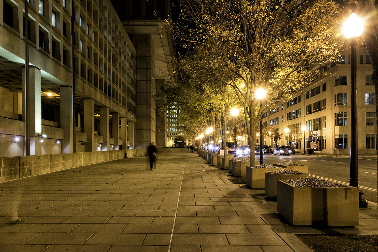 November Evening in Washington