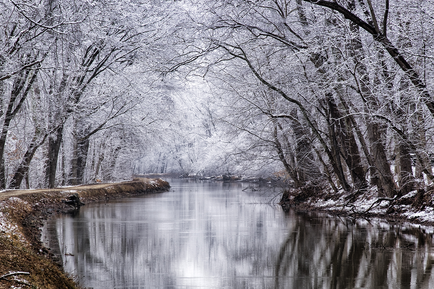 Great Falls, March Morning