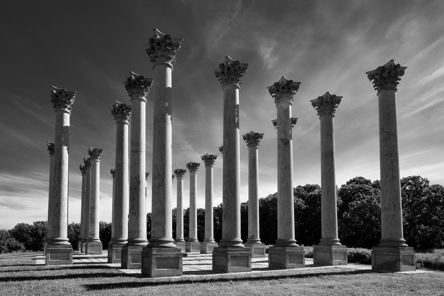 National Arboretum, July Morning