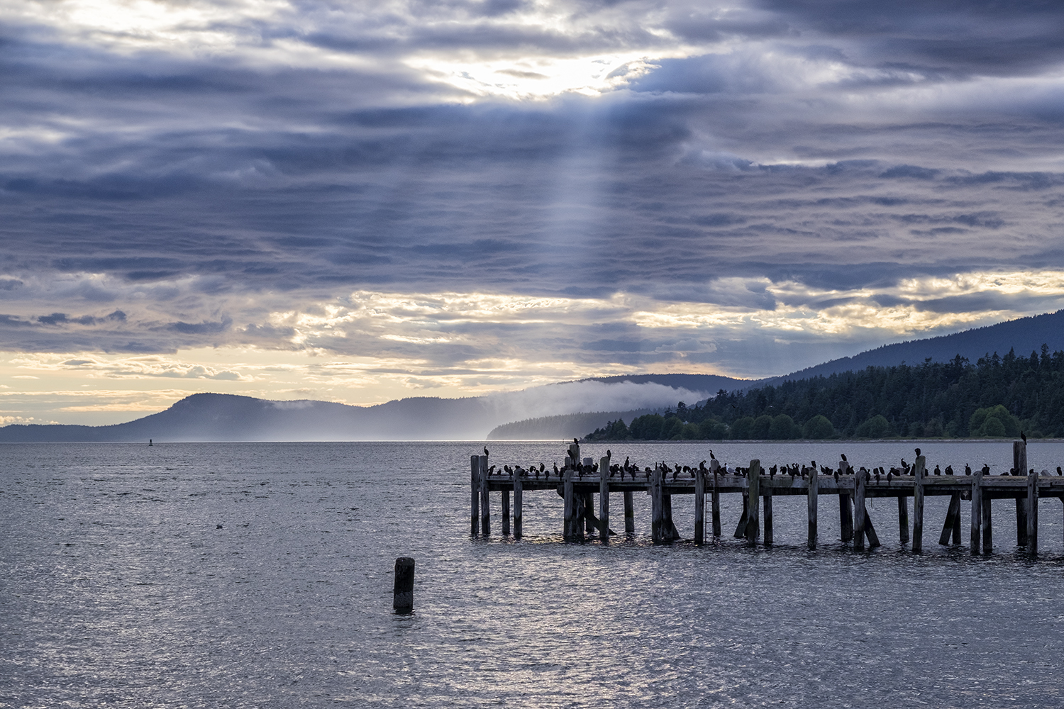 Anacortes, WA, July Evening