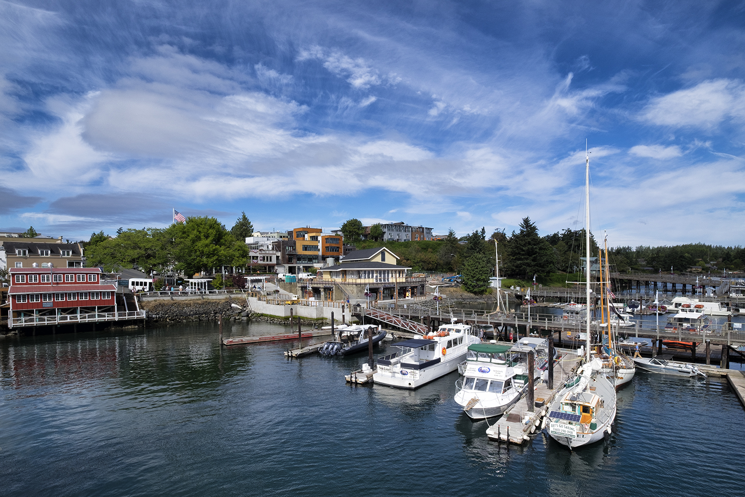 Friday Harbor, WA, July Morning