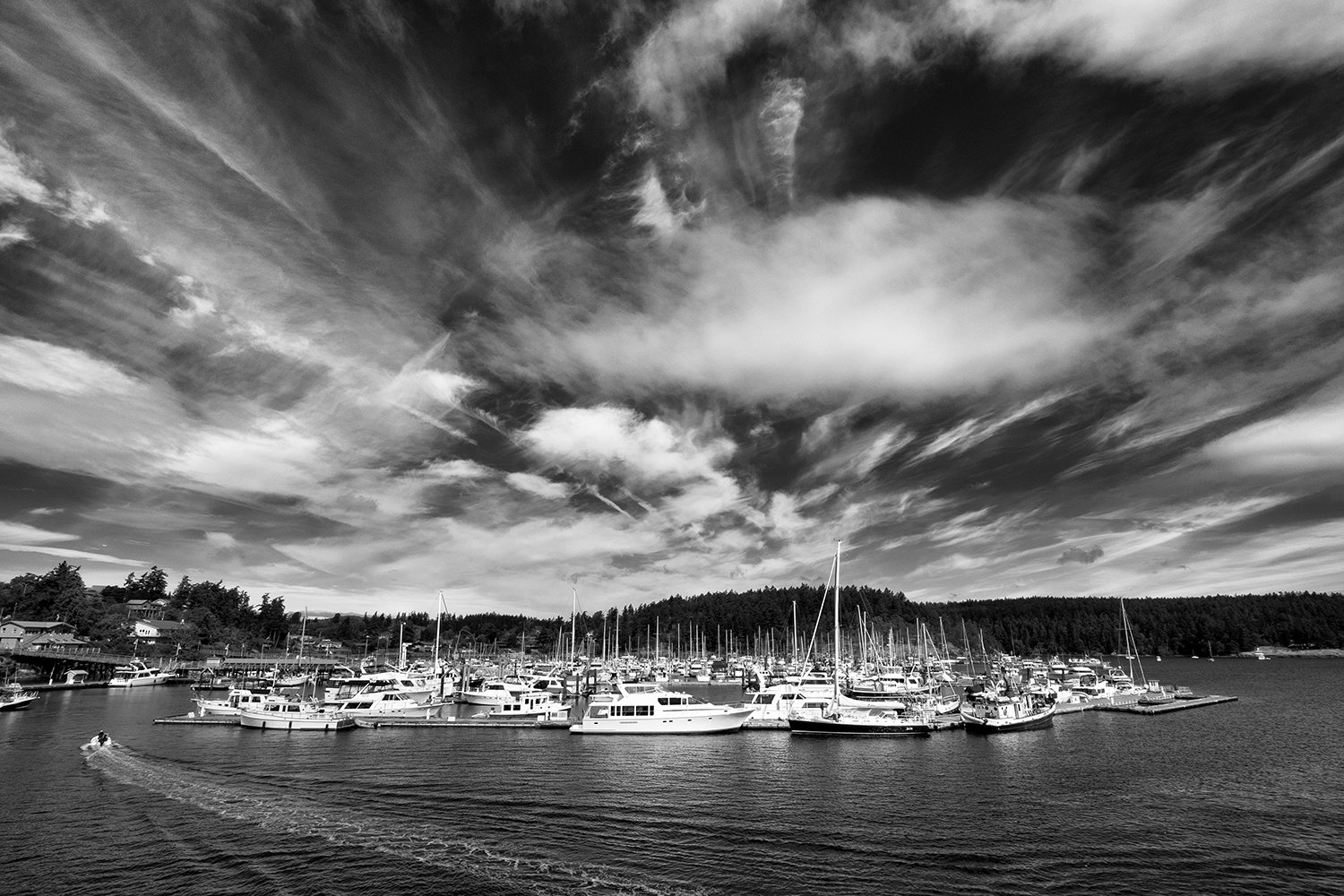 160711 San Juan Islands 49-1 bw.jpg