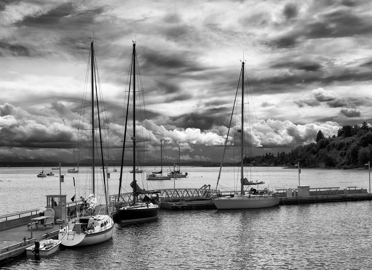 Langley Harbor, July Morning