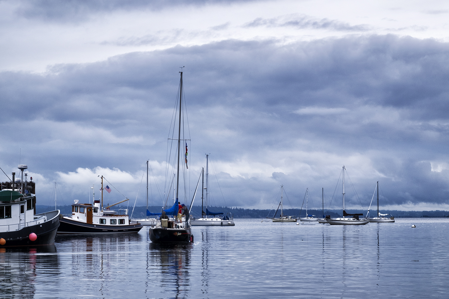 Langley Harbor, July Morning