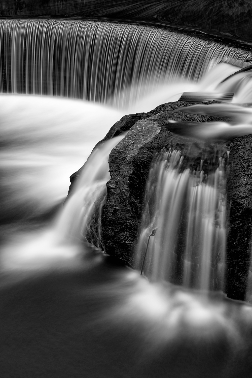 Jones Falls, May Morning, American Landscapes 2014