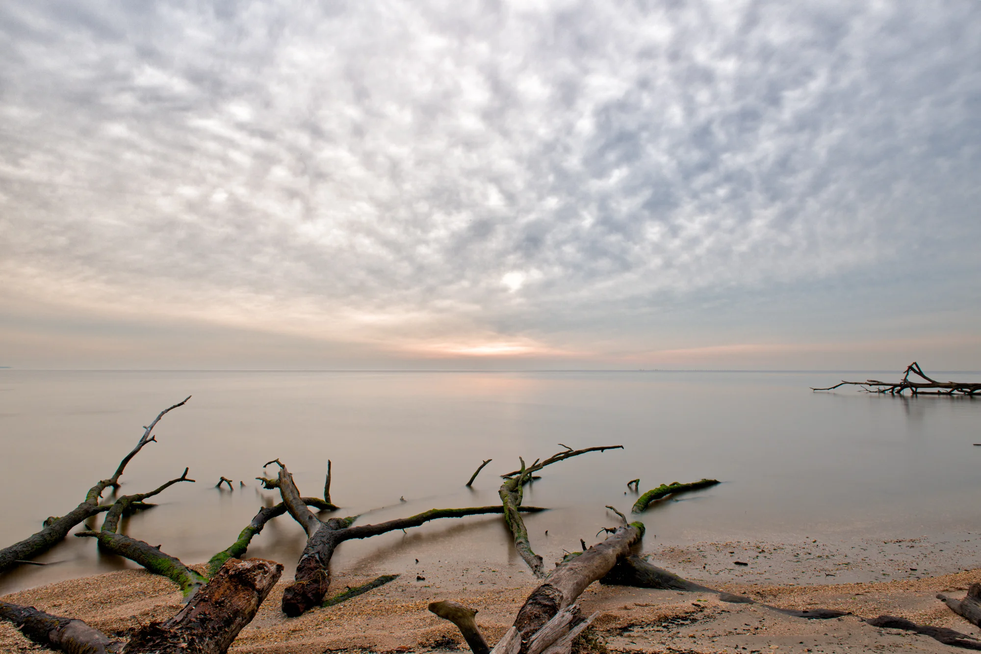 Bay Front Park, December Morning, Gallery B 2014