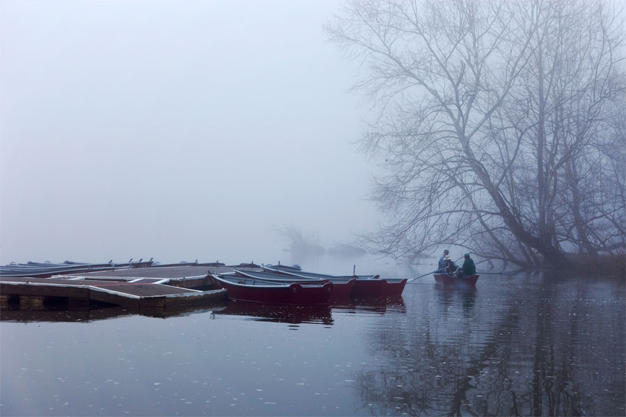 Morning Ritual, American Landscapes 2009