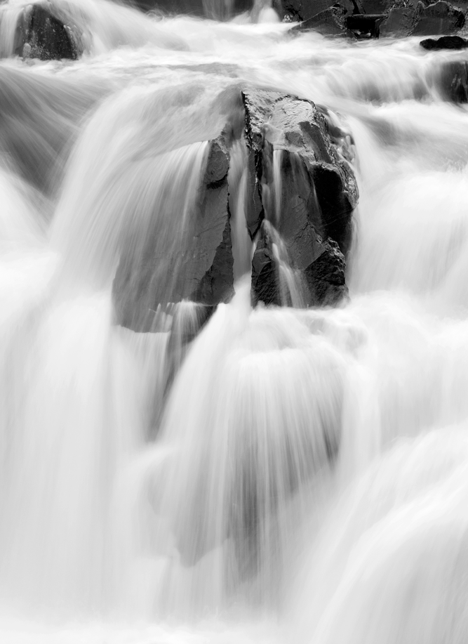 Olmstead Island Moving Water Study, Chesapeake Watershed Exhibit, 2009