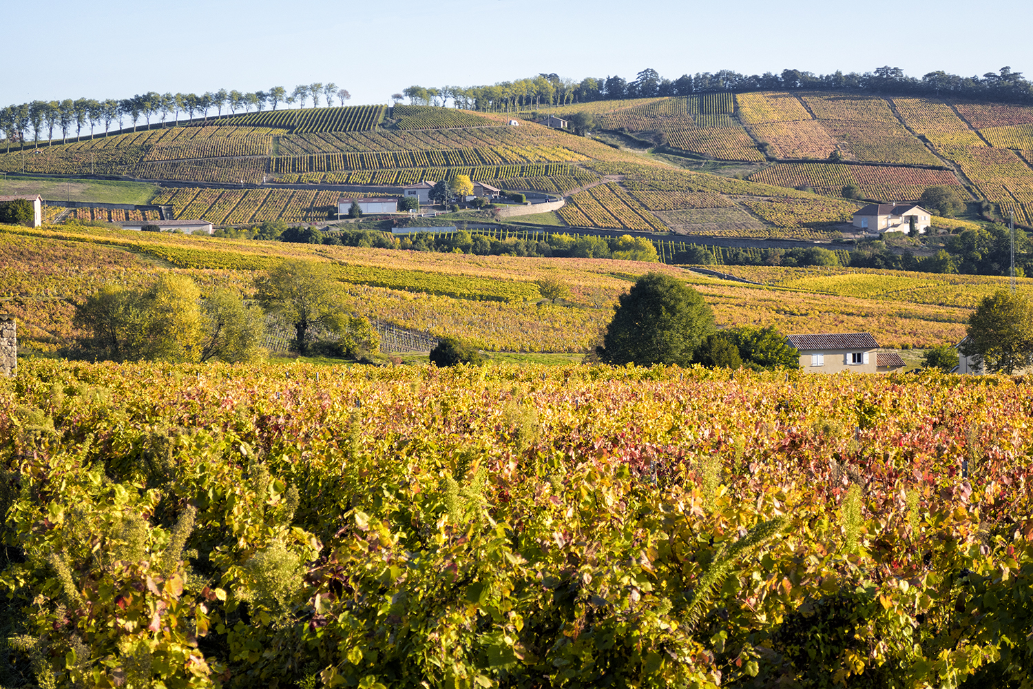 Fleurie, France