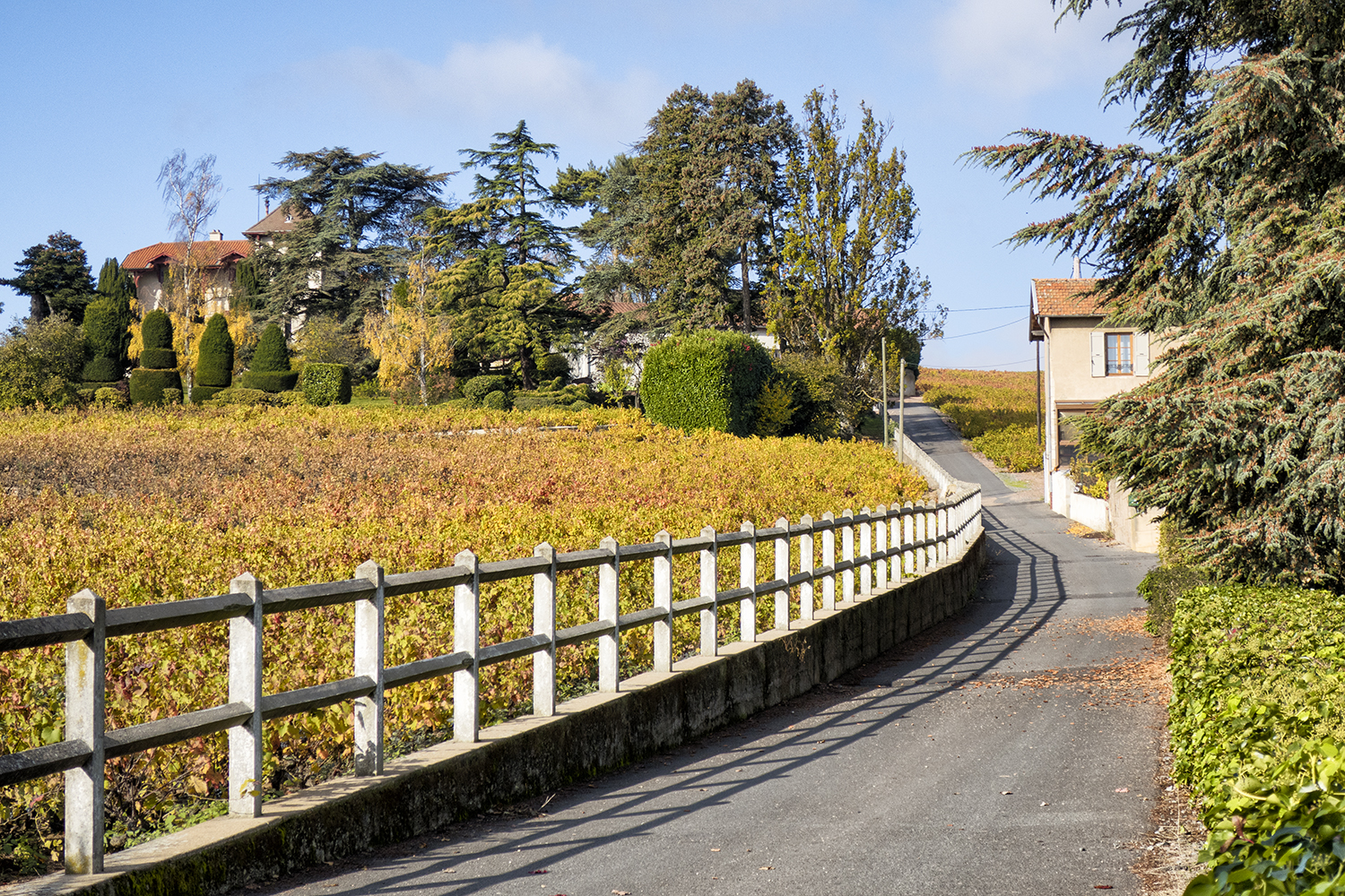 Fleurie, France