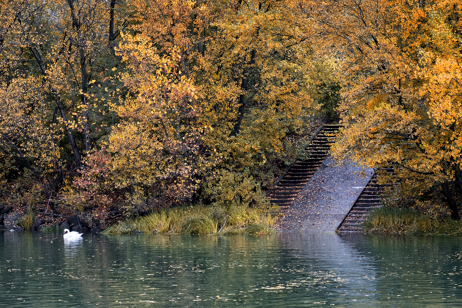 Along the Rhone River