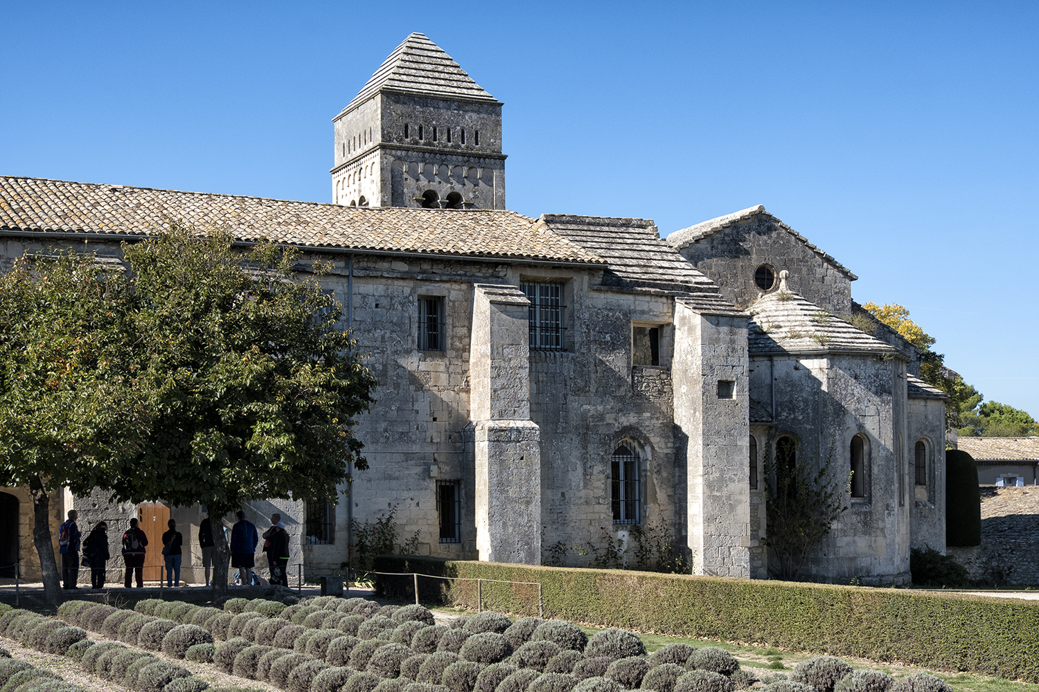 Monastere Saint-Paul de Mausole, October Morning