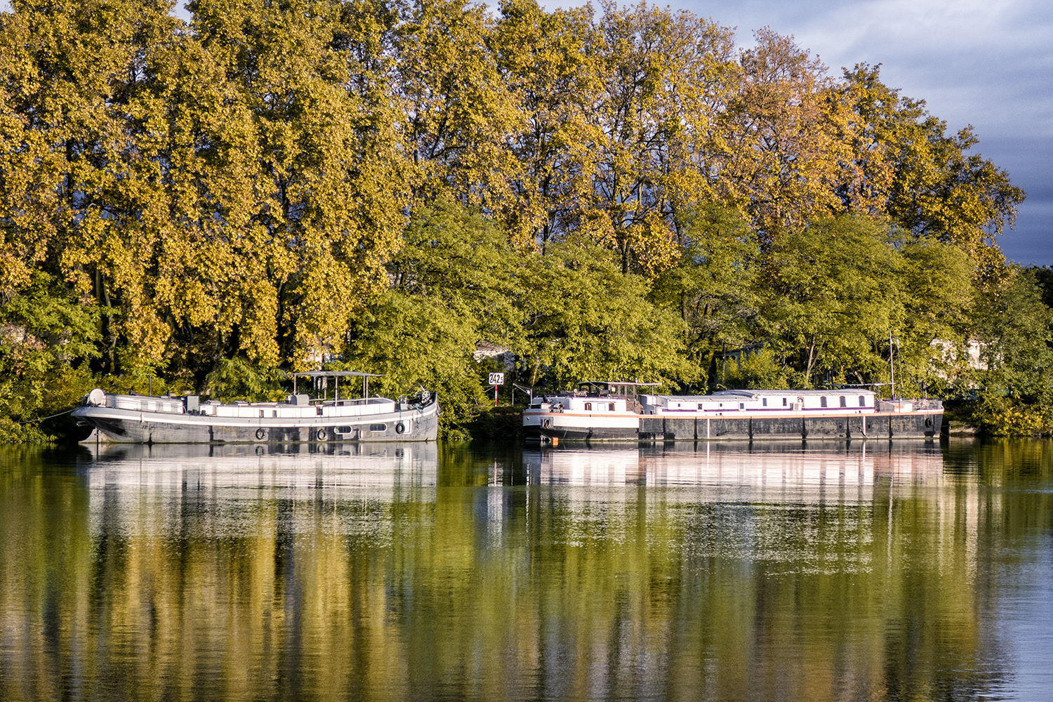 Rhone River, October Afternoon