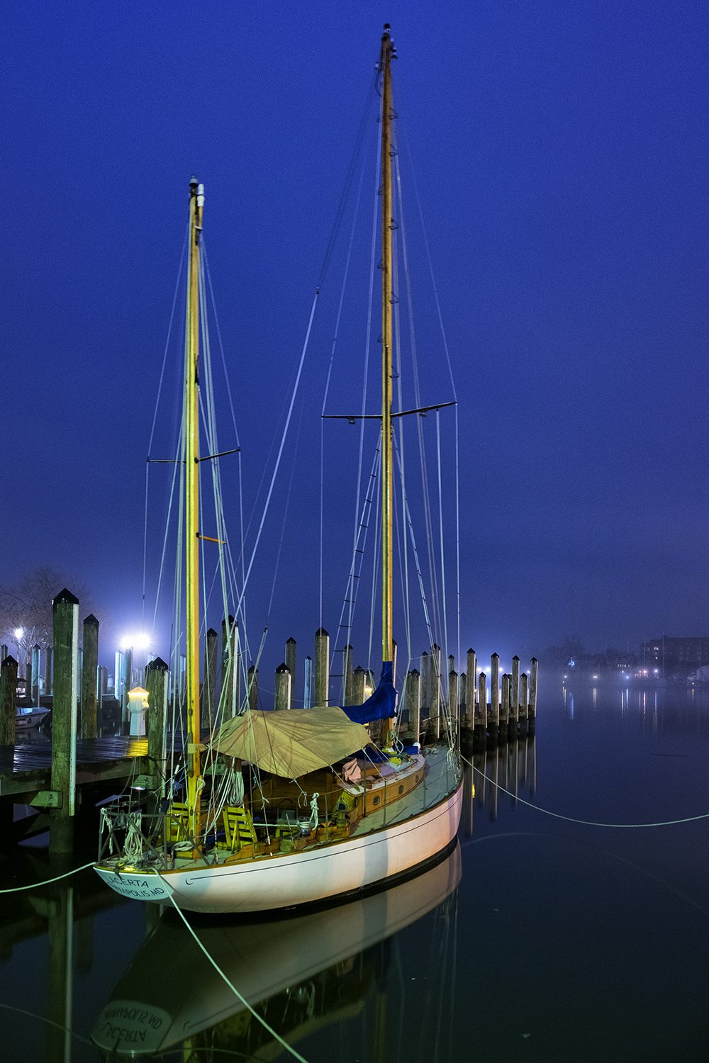 Annapolis, January Morning