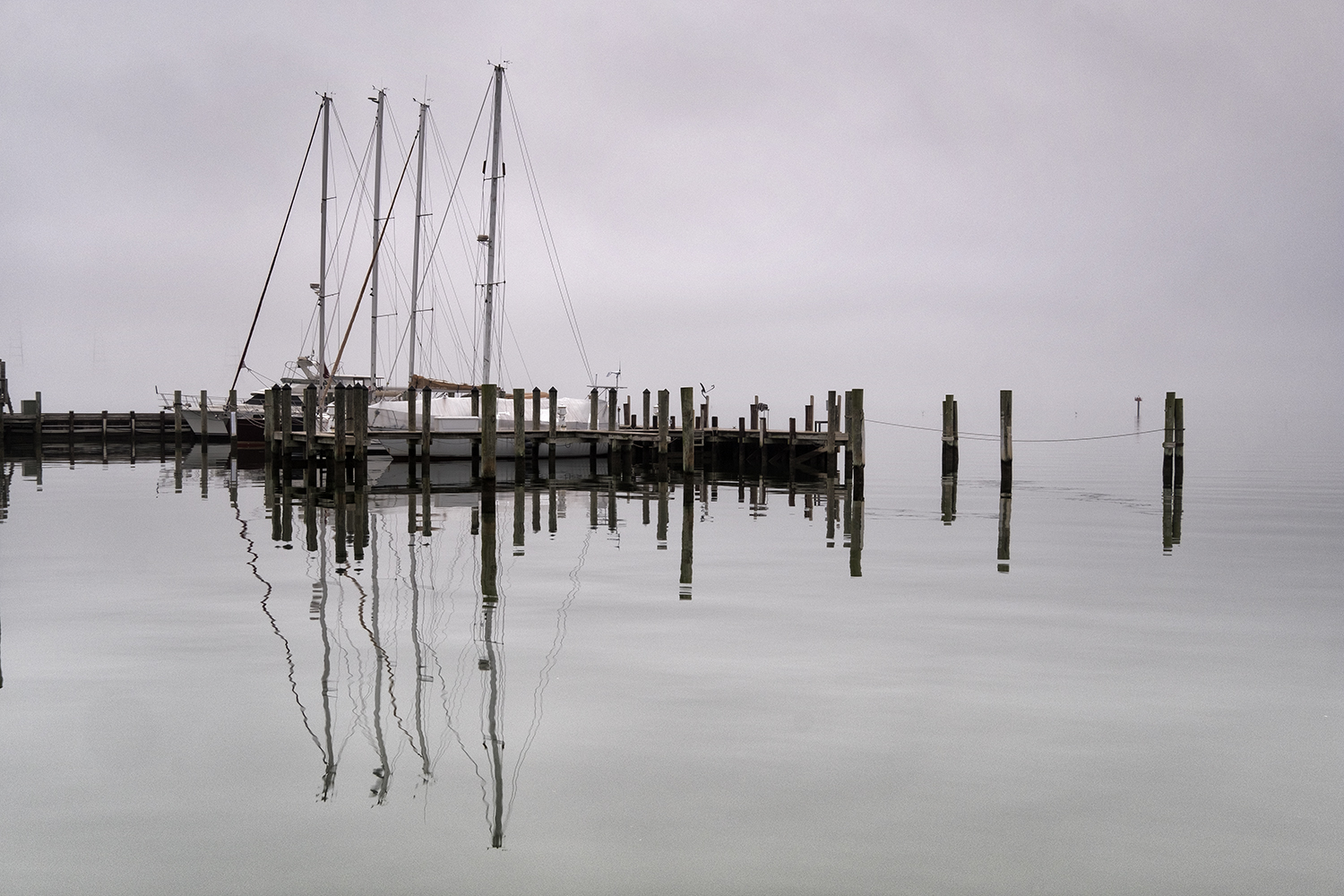 Annapolis, January Morning