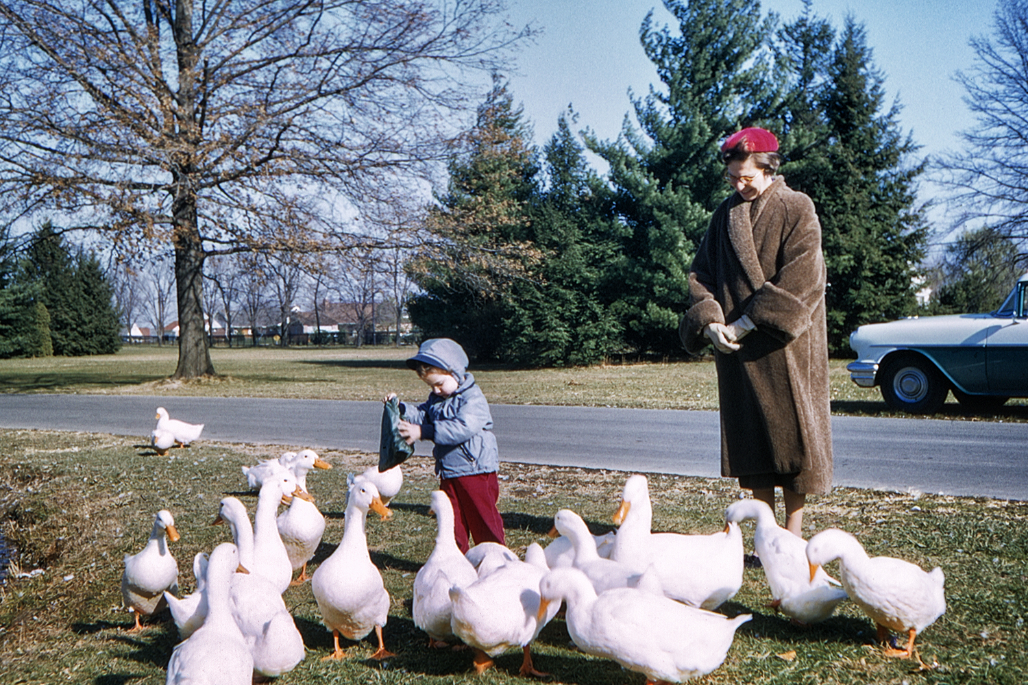 Sally and Anne feeding the ducks at Druid Ridge Cemetery