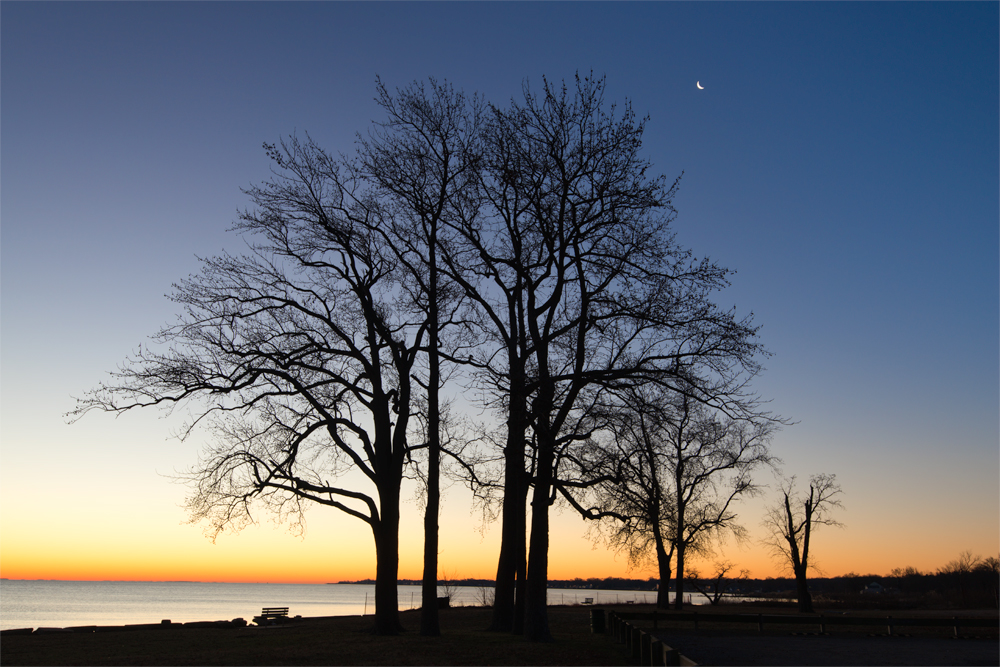 Fort Smallwood, December Morning